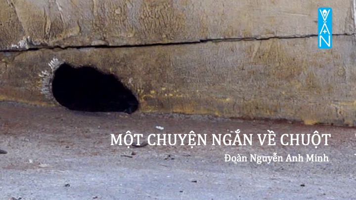 Một chuyện ngắn về chuột – Đoàn Nguyễn Anh Minh